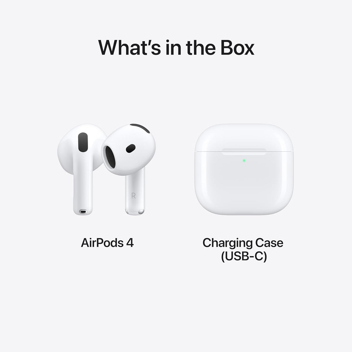 ANC In-Ear TWS Earbuds with USB-C Wireless Charging Case