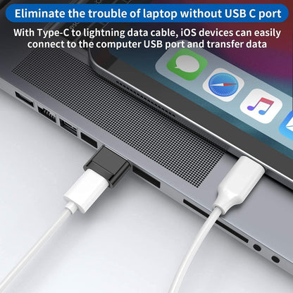Type-C To USB Male Converter – view 3