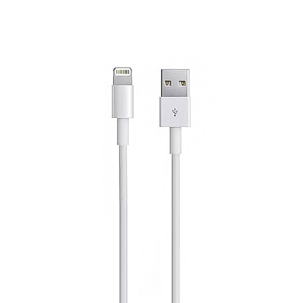 iPhone Lightning To USB Cable