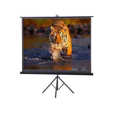 Projector Screen 120 Inch Tripod Portable - Speed-X