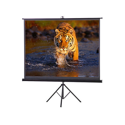 Projector Screen 120 Inch Tripod Portable - Speed-X